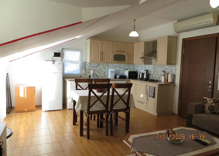 Stella Classic 费特希耶