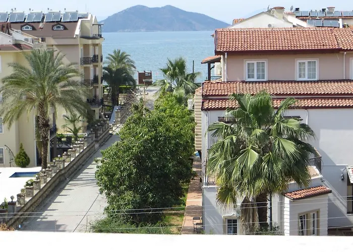 Stella Classic * 费特希耶